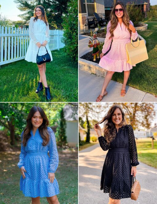 Women's 2025 Long Sleeve Mini Dress Spring V Neck Hollow Out Eyelet Embroidery Ruffle A Line Swing Short Dresses - Image 5